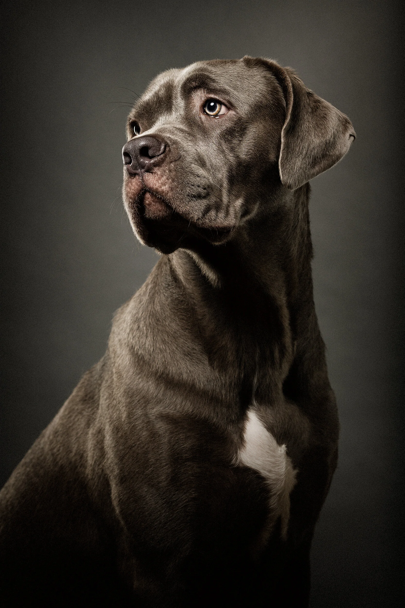 MAGS_ZEBLEY-182-tonal0-melvinreala copy.jpg
