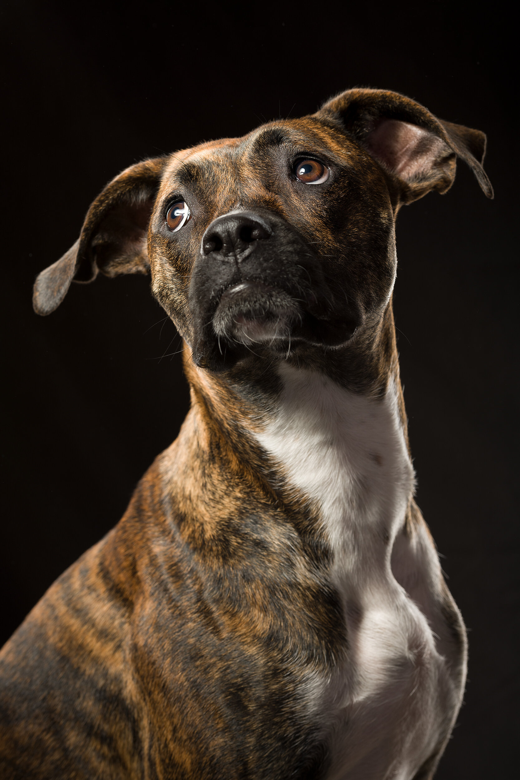 ROCKET_KING-088-tonal0 copy.jpg