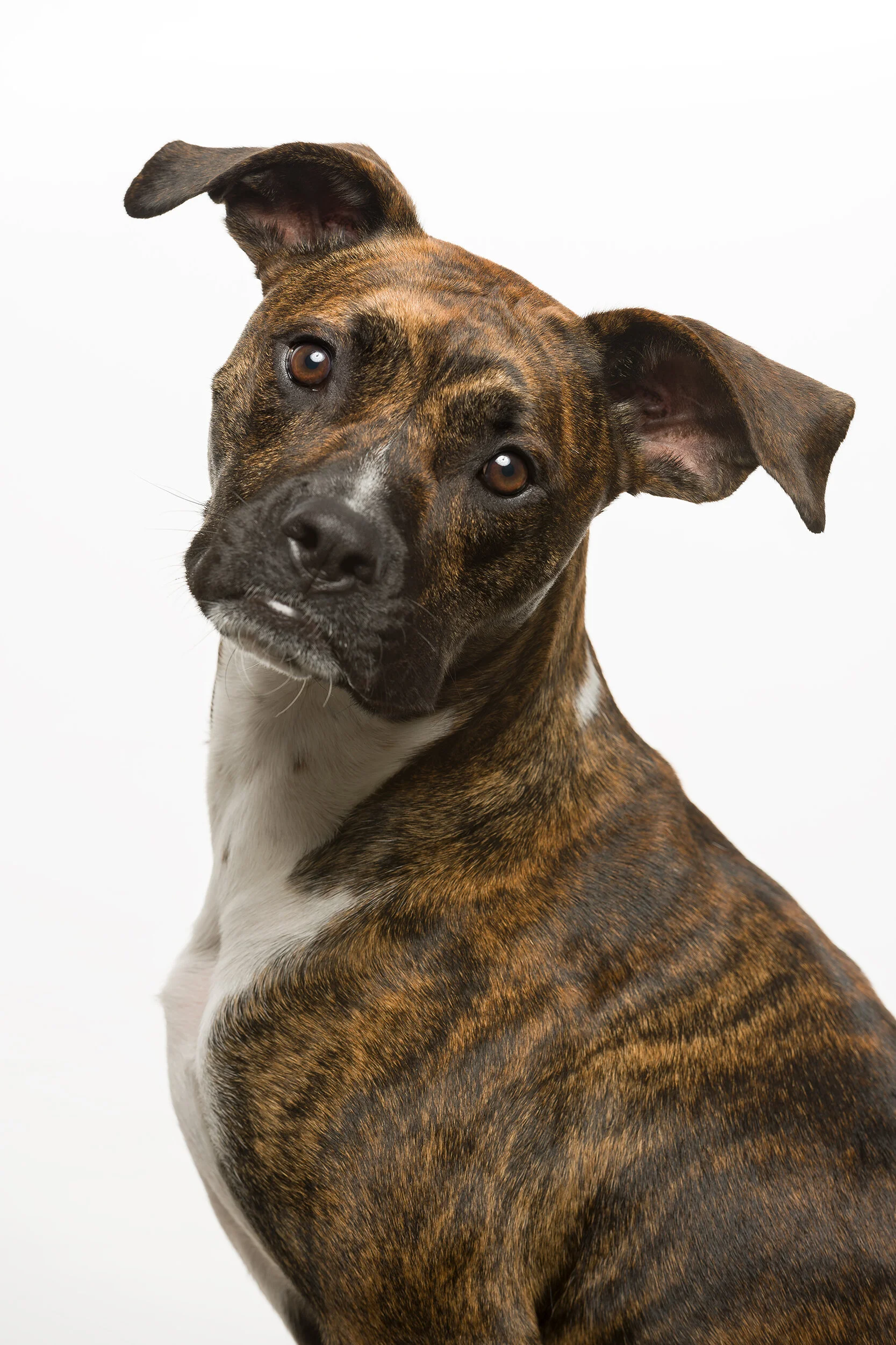 ROCKET_KING-072-tonal0 copy.jpg