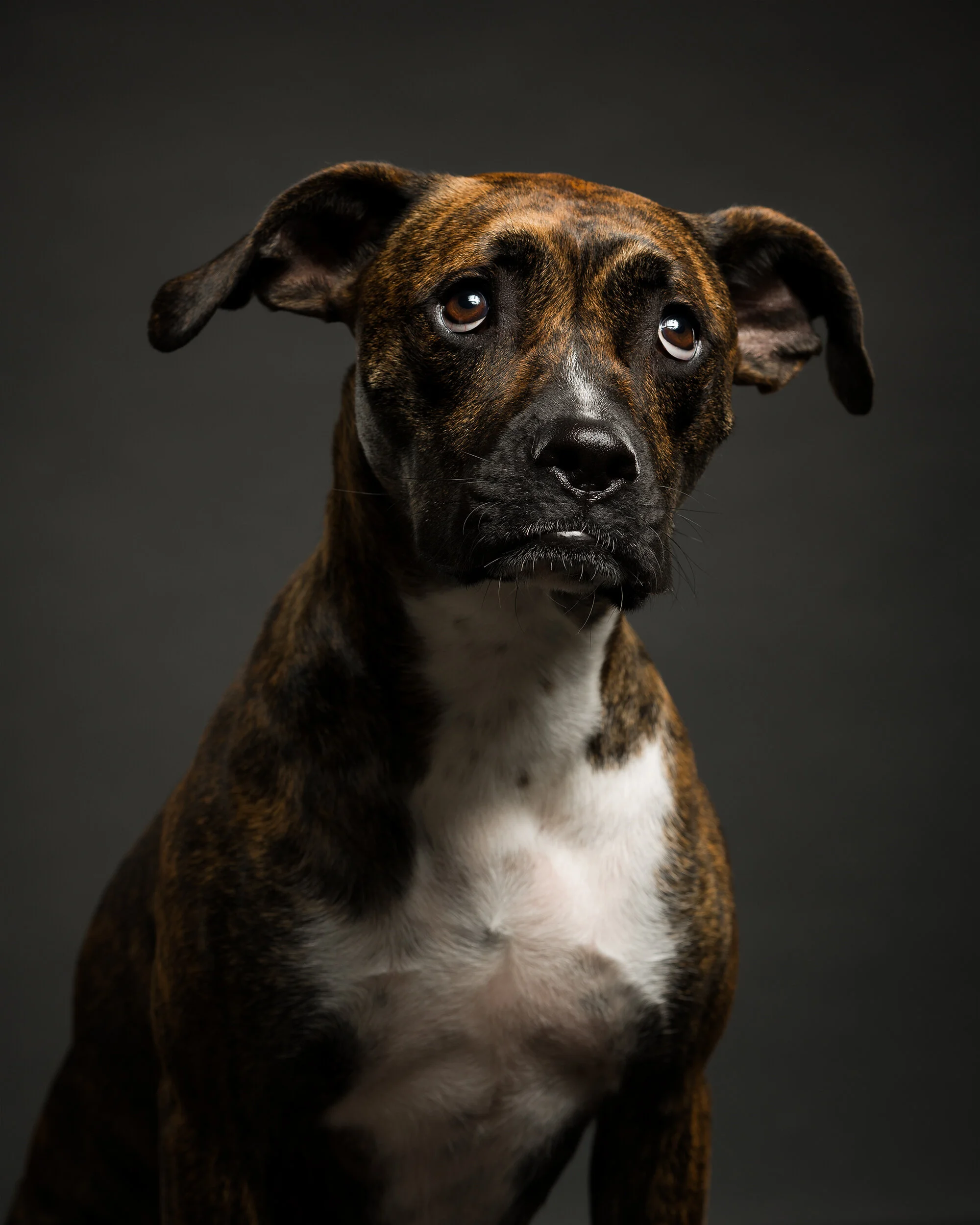 ROCKET_KING-220-tonal0-rocket4-80 copy.jpg