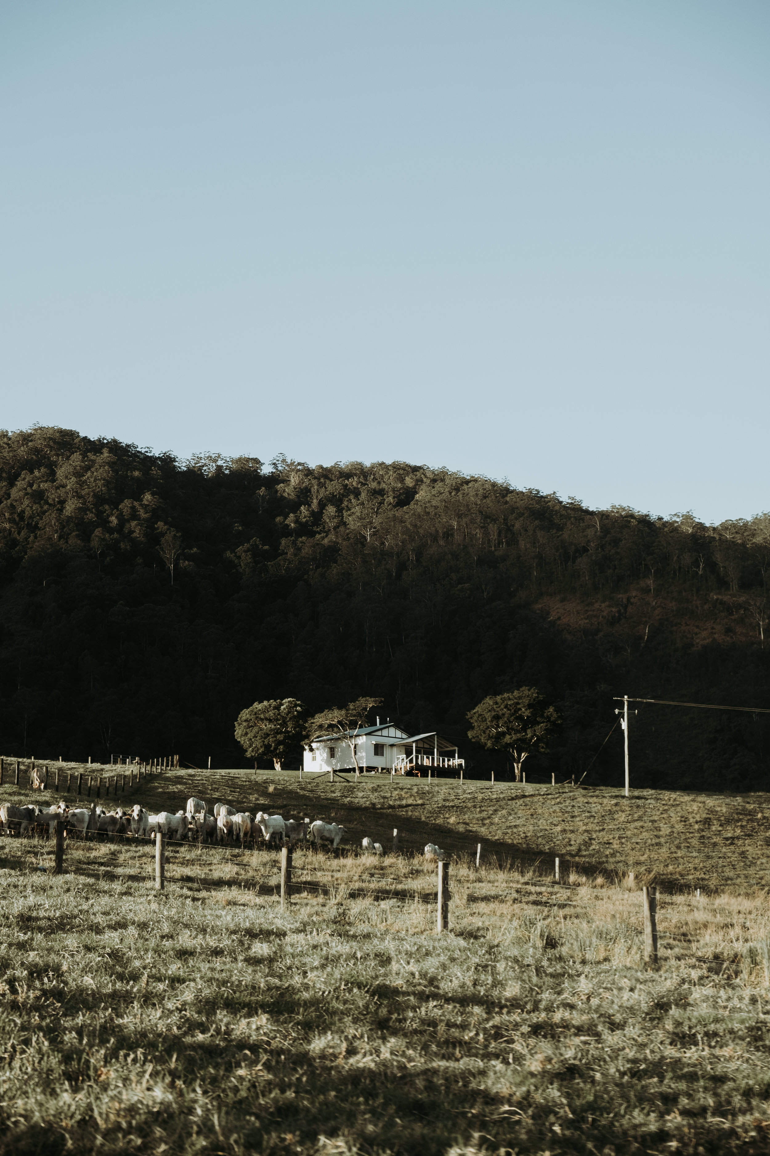 STAYCATION AT @CONONDALESTATION 