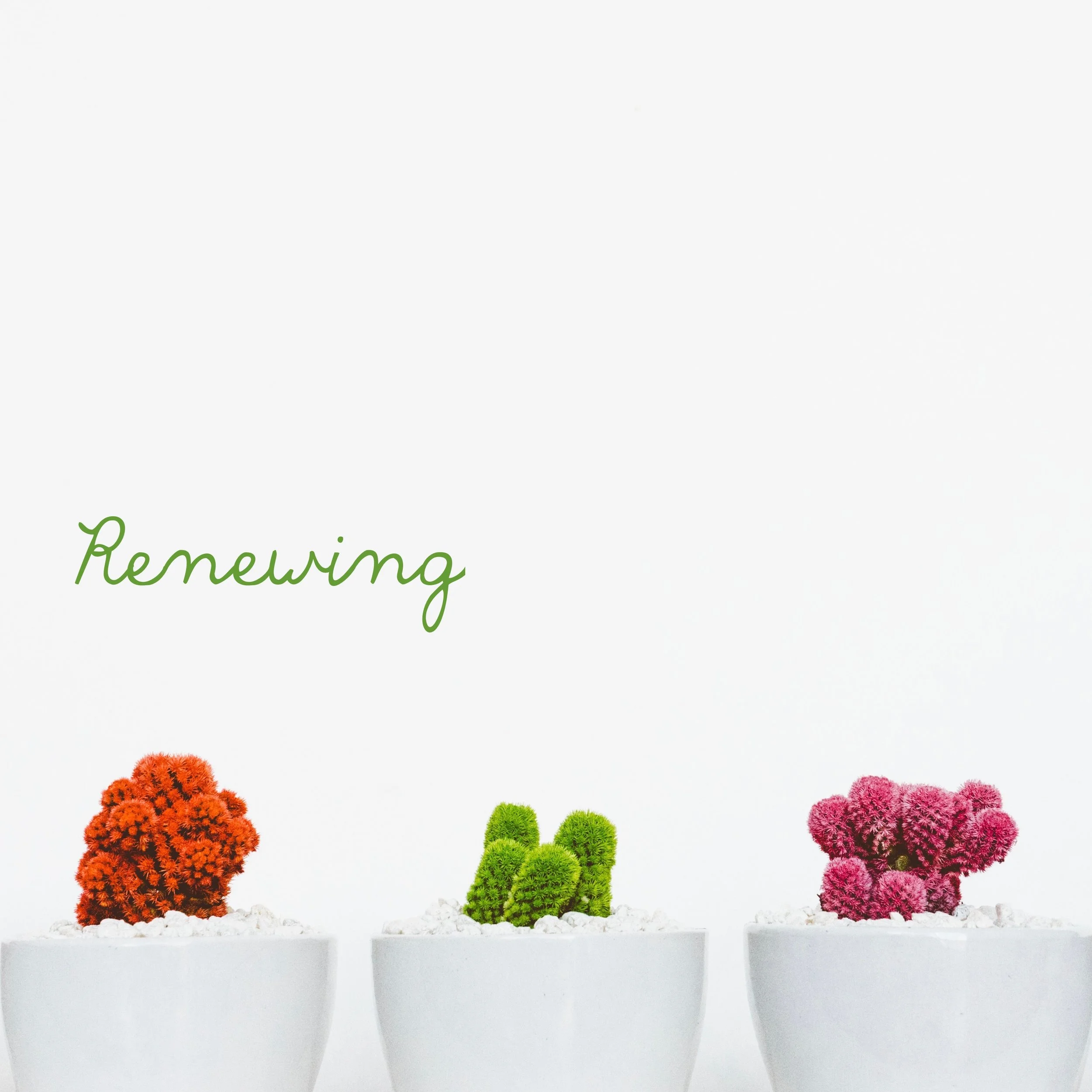 renewing.jpeg
