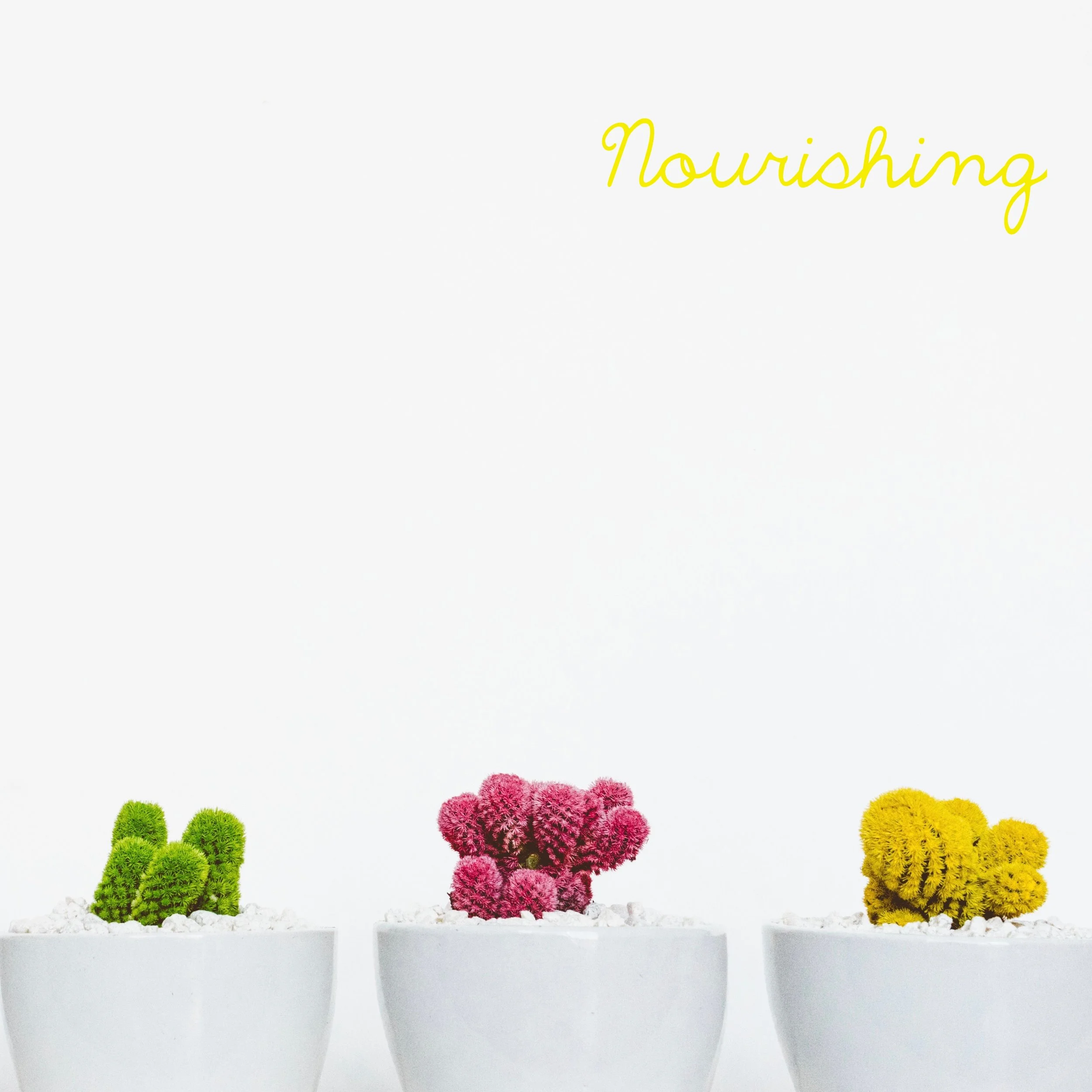 nourishing.jpeg