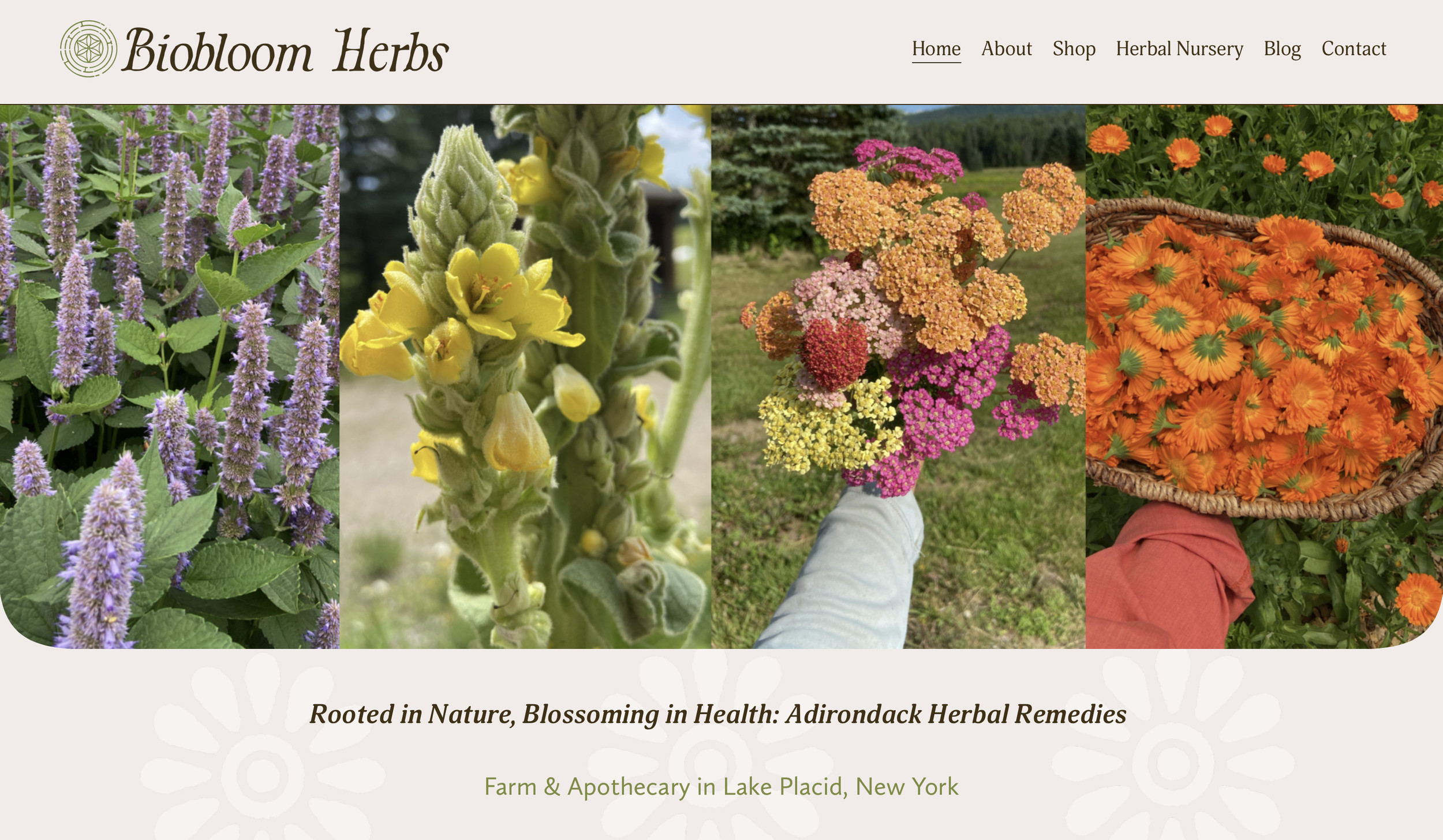 Biobloom Herbs: Adirondack Herbal Remedies
