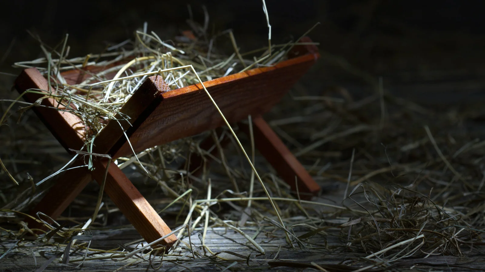 large_the-manger-ra8sz6zm.jpg