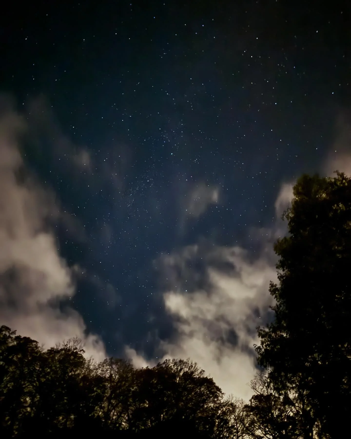 Idk if they&rsquo;re real or if my camera had a freak out, but god do I love the stars. 🌌