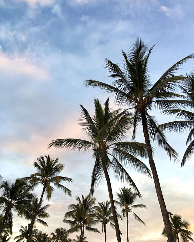 Grateful for moments like these 🌴 Feeling so at peace with these Hawaii moments and loving the relaxing family time. What are you grateful for? #givegratitude #hawaiimoments #hawaiisky