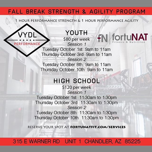 🚨 FALL BREAK PROGRAM 🚨
Come get in some work and make yourself better during fall break! Each session is 2 days 2 hours!
-
DM me to reserve your spot! @vydlperformance .
.
.
.
#fallbreak #strengthtraining #agilitytraining #athletes #makeyourselfbet