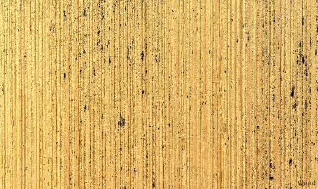 Architect_Book_Decorative_plaster_Dekorputz_Viero_wood_4-655x390 (1).jpg