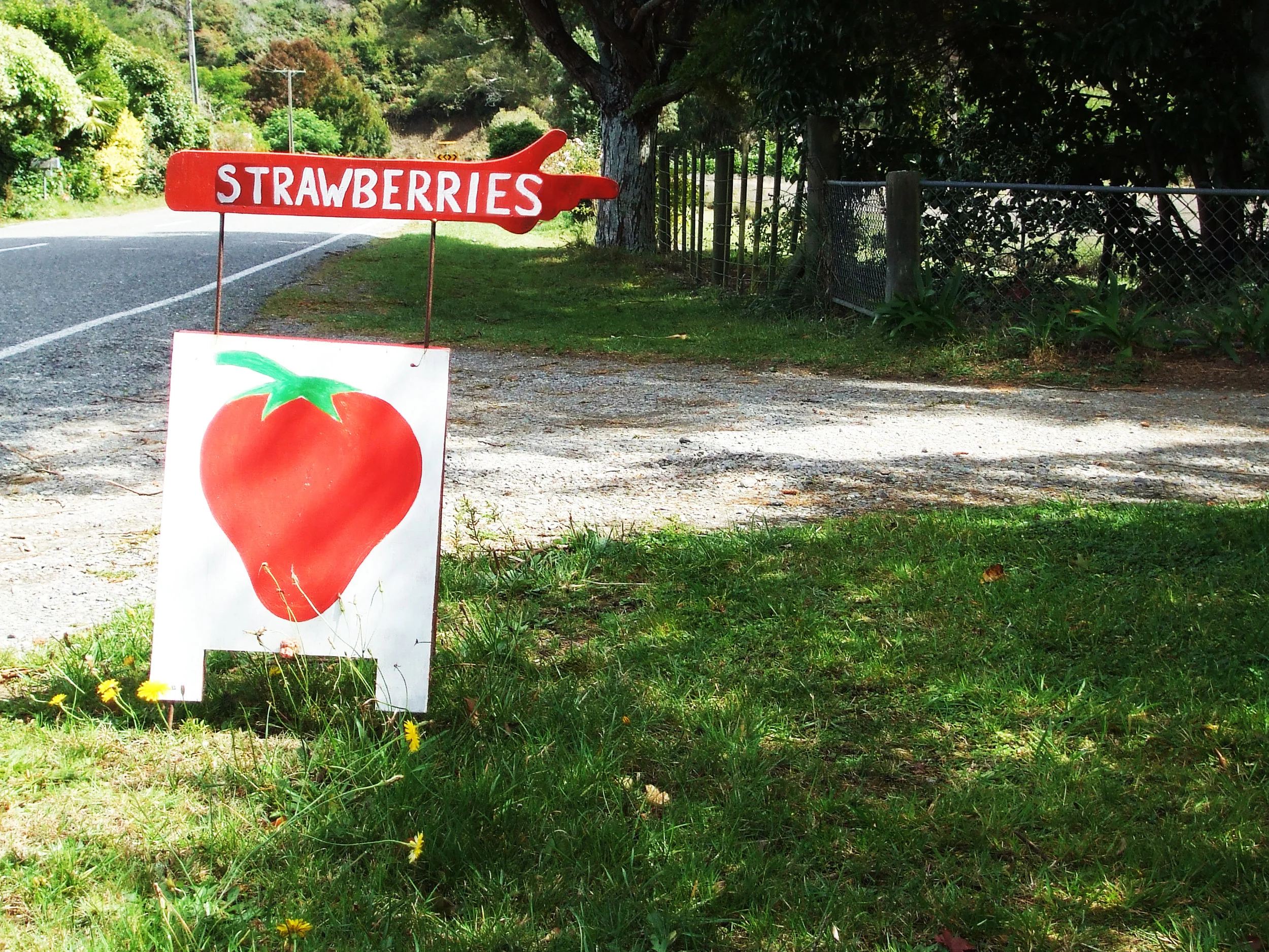 strawberrystall2.jpg