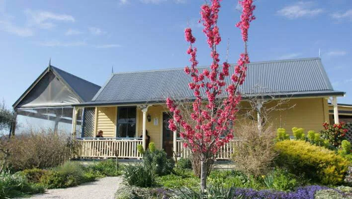 The Grape Escape Cafe