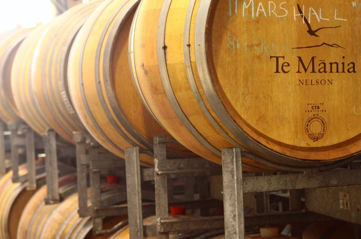 Te Mania & Richmond Plains Wines