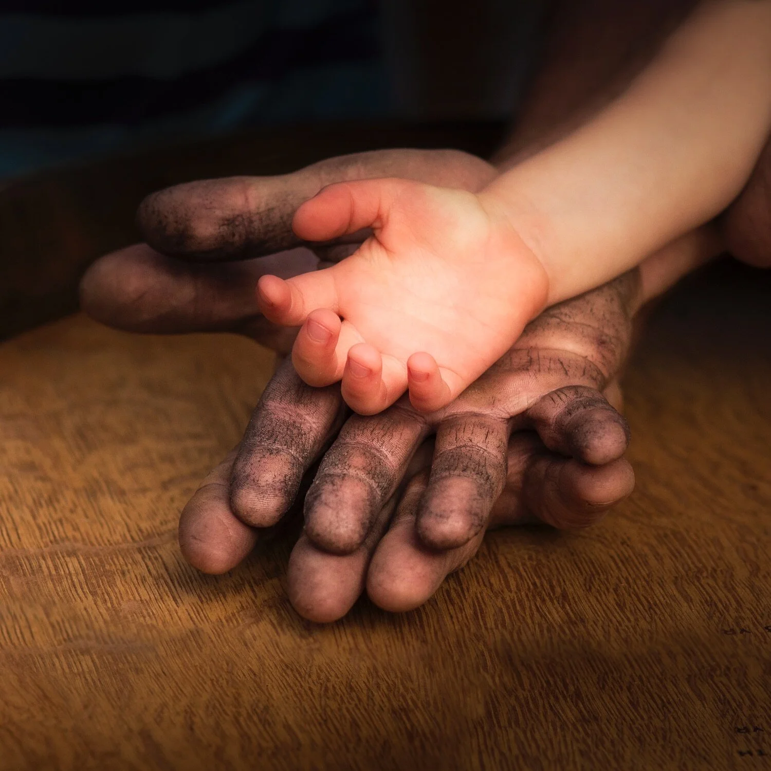 Seifried Estate Winery - family winemakers