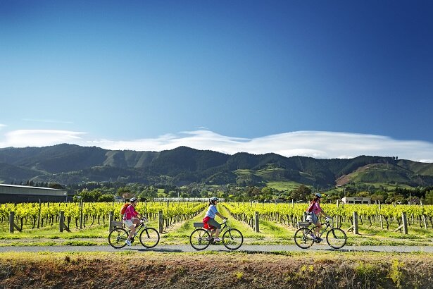 Wine cycling on the Waimea Plains