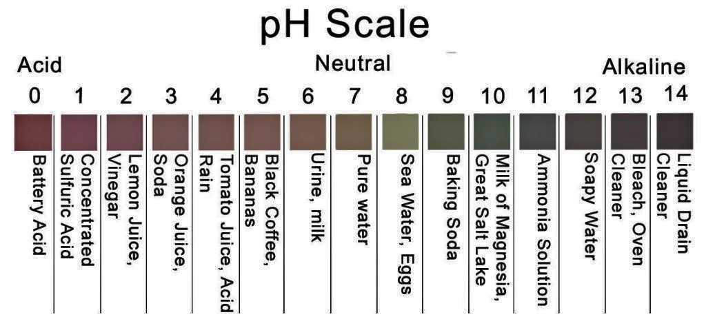 pH-scale-1024x463.jpg