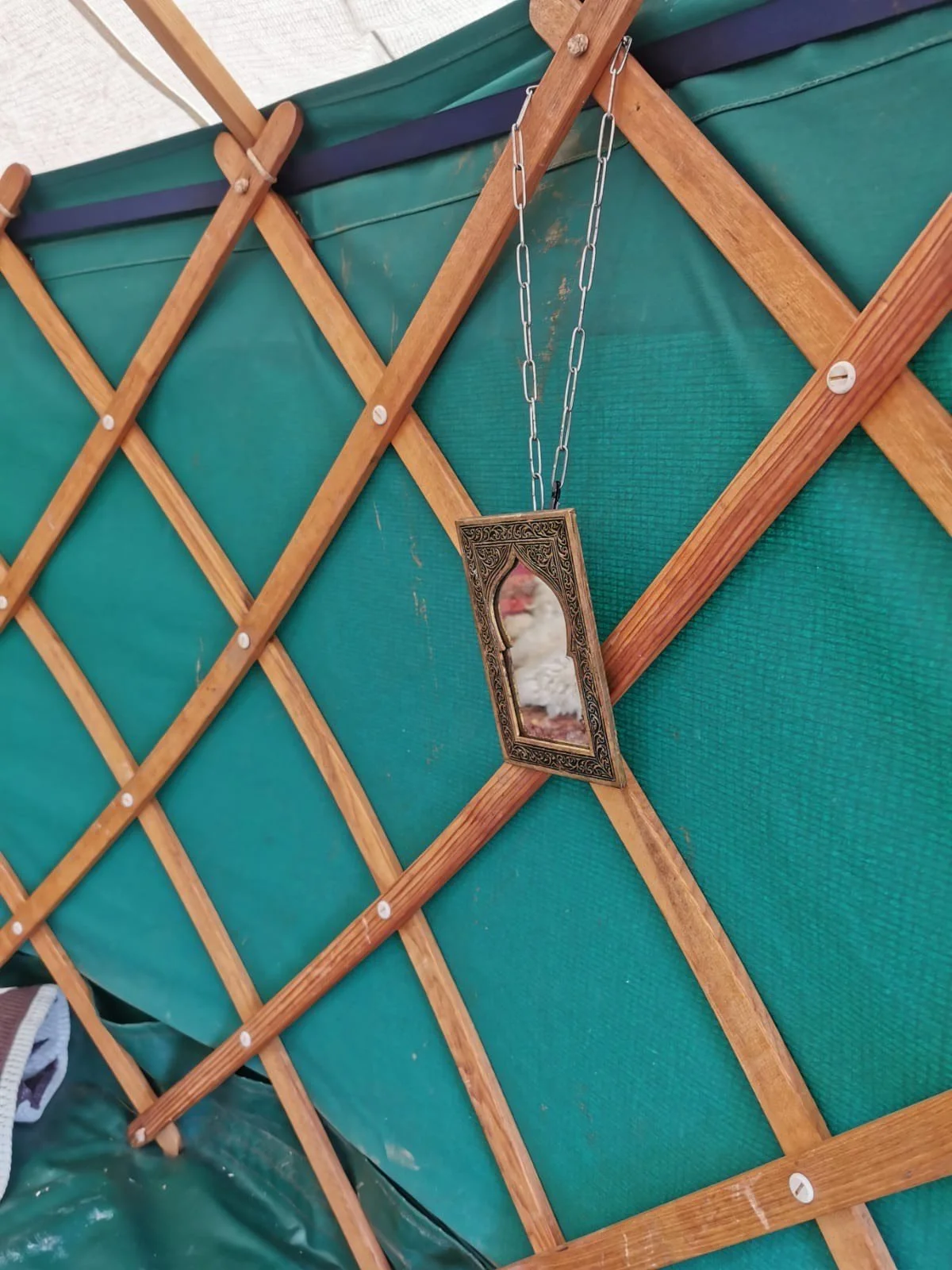 Luxury Yurt Camping at Lindisfarne Festival
