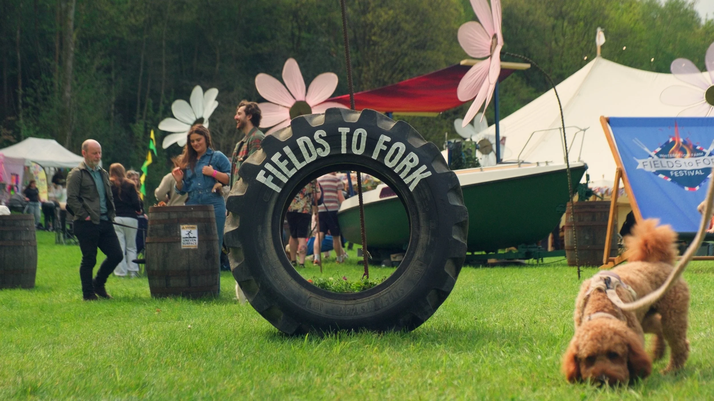 Field to fork food festival