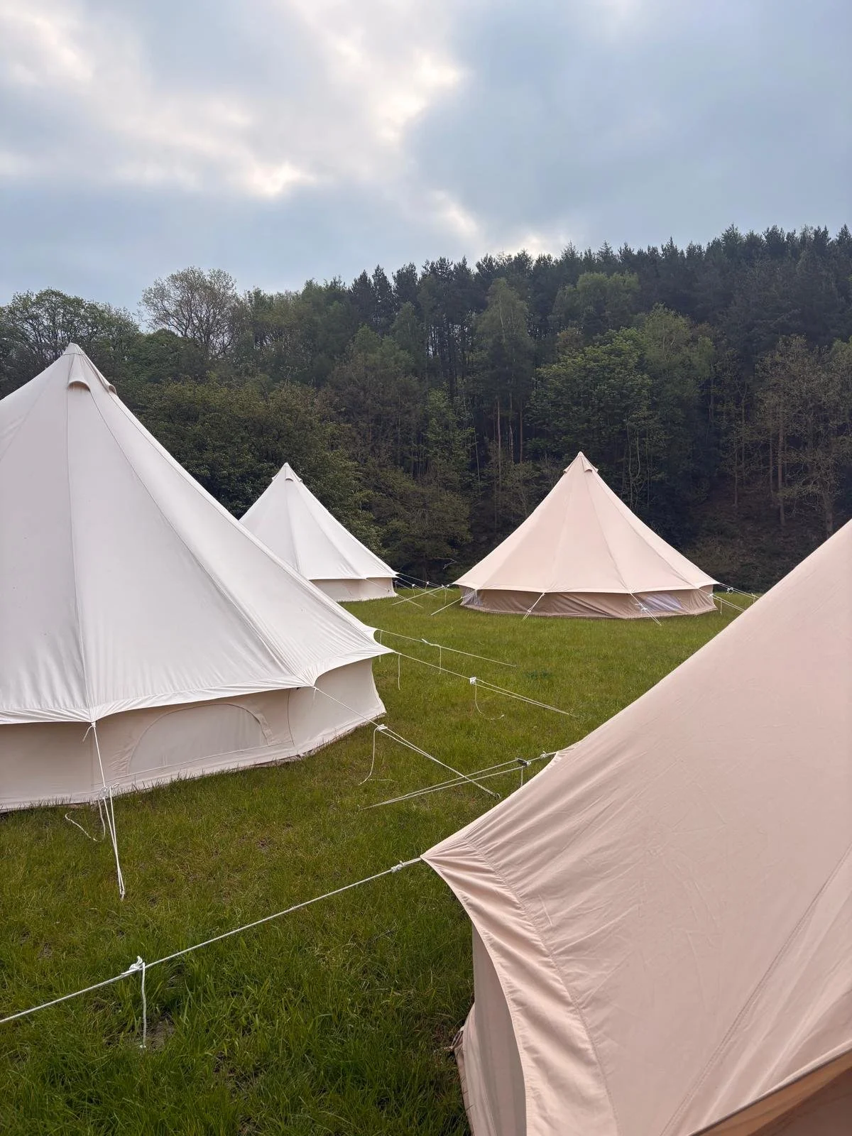 Luxury bell tents at field to fork festival