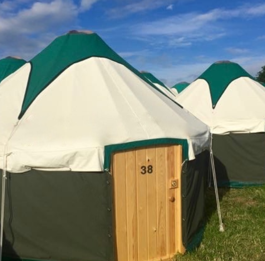 A row of large camping tents with green and white peaks on a grassy field, with a wooden door numbered 38 in the foreground.