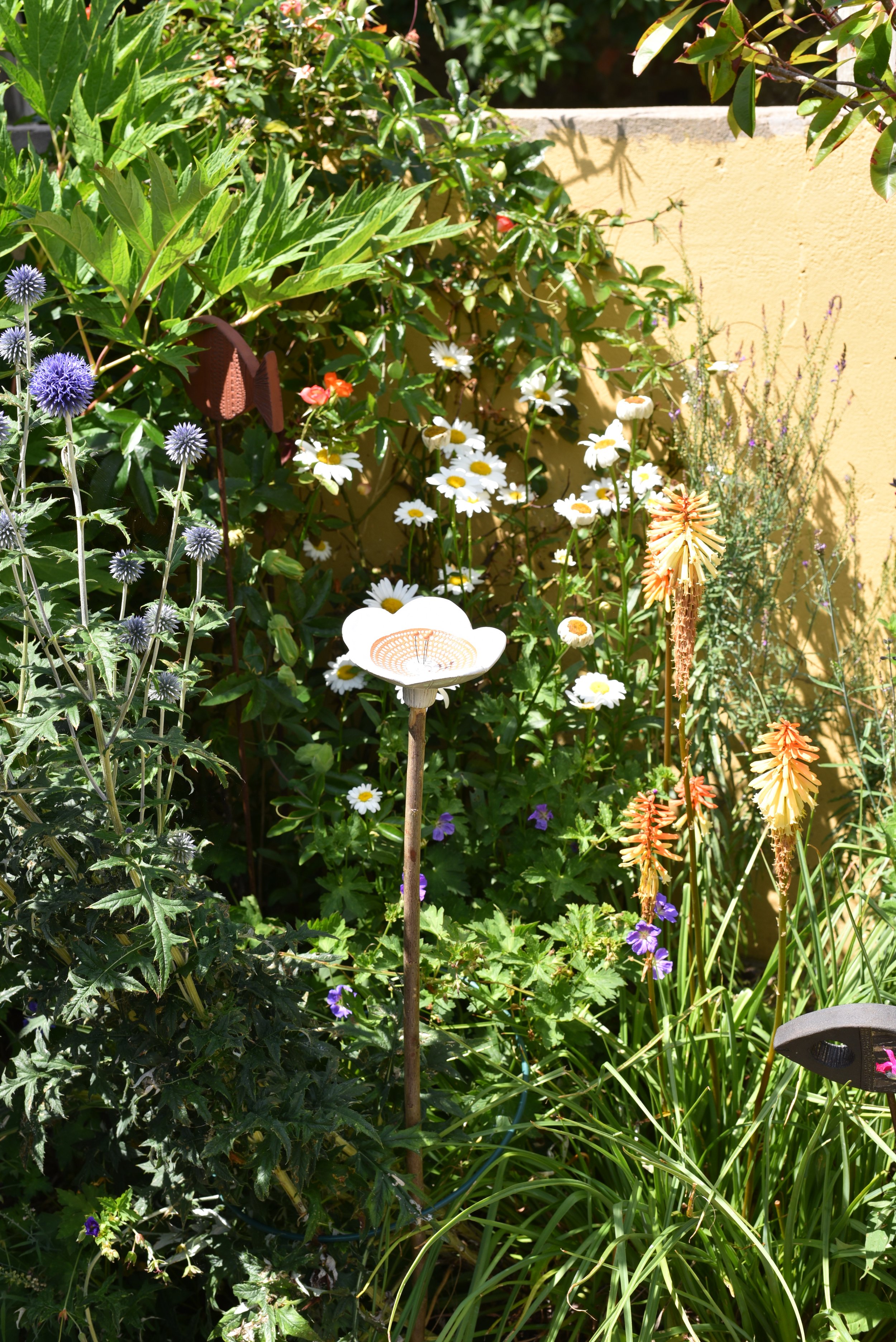 DSC_4080.JPG