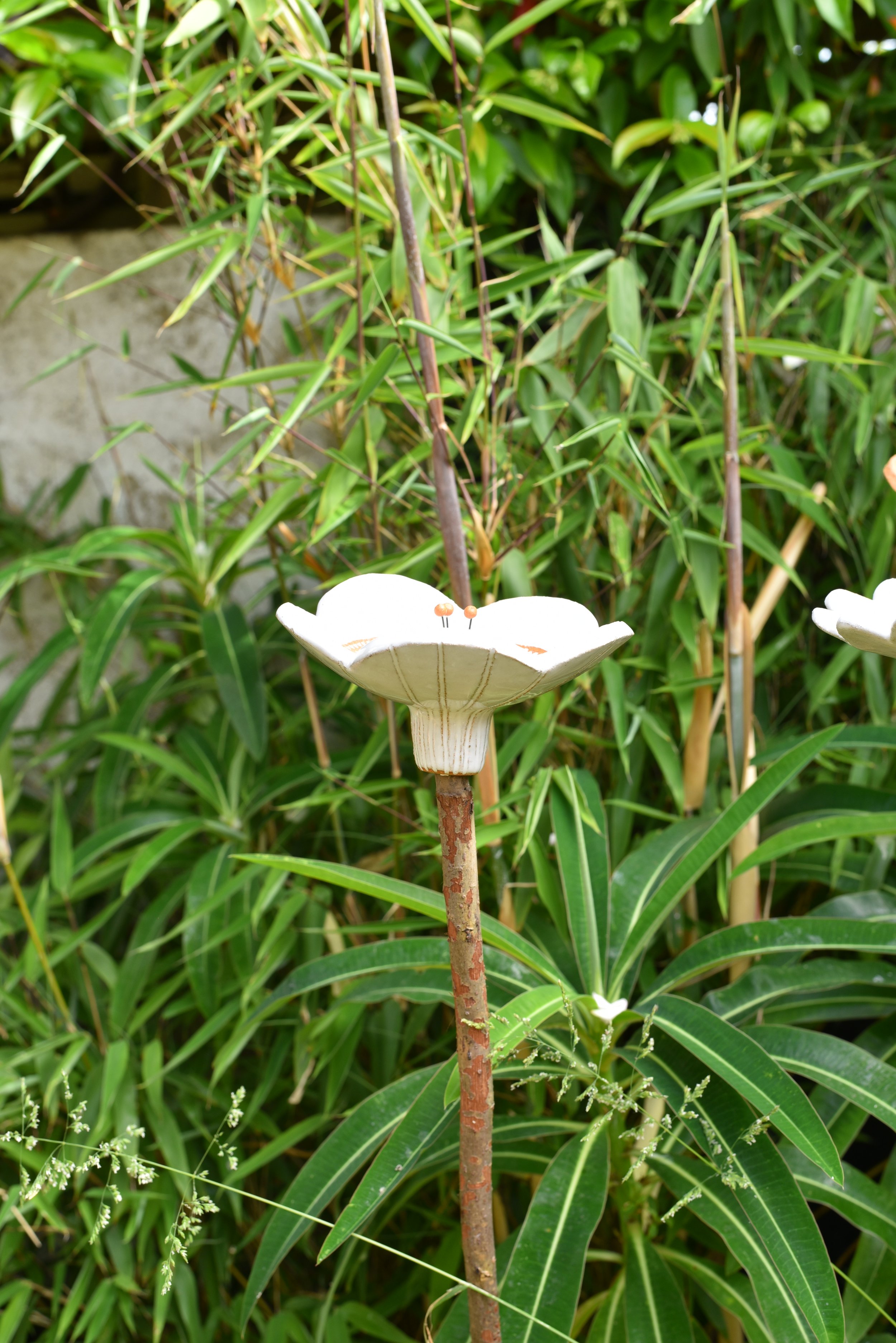 DSC_3993.JPG