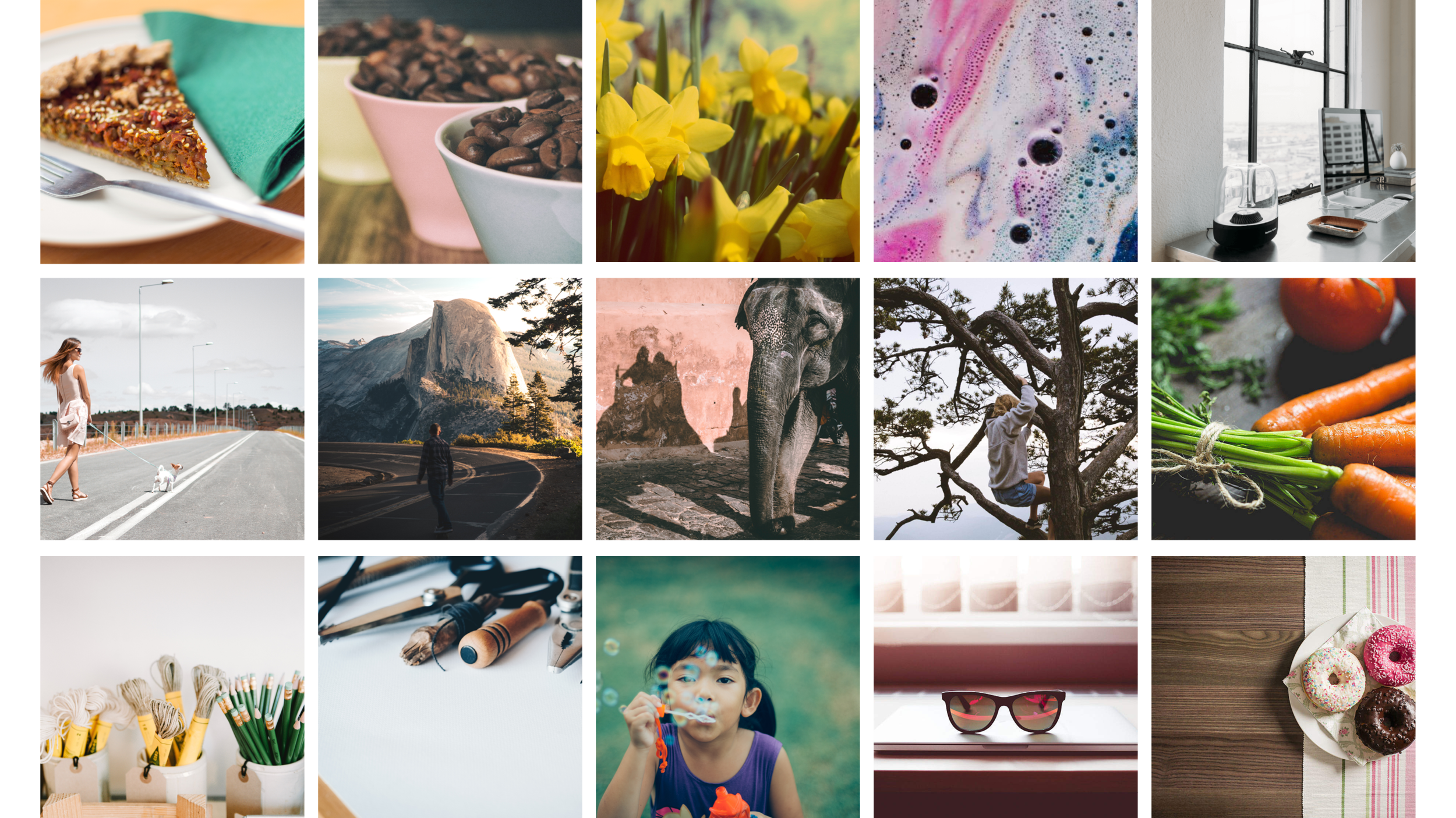 CollageAll.png