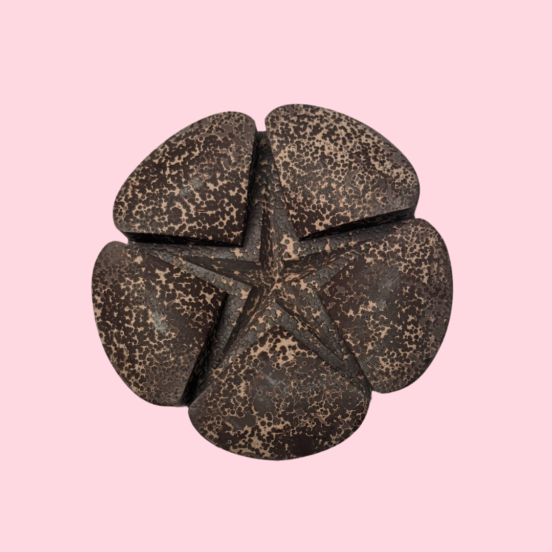 Ceremonial cacao pods in daily dose petals