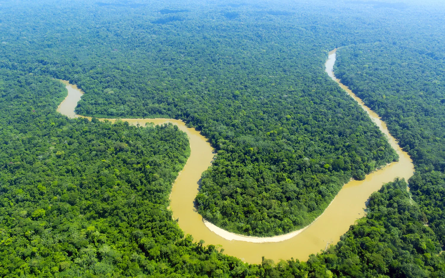 The Chaikuni Institute-Amazon-river-Revolution-Slider-1920x1200.jpg