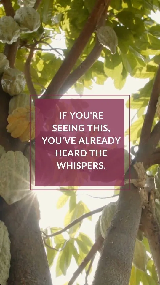 Ritual Cacao | Ceremonial Cacao