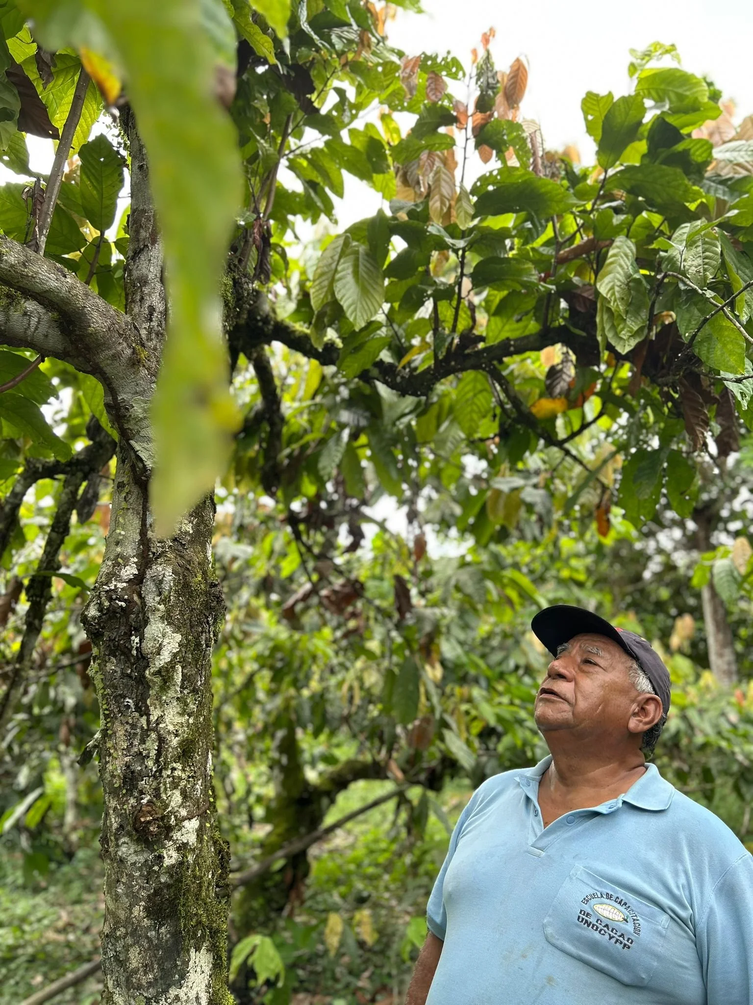 Rebekah’s Ecuador Trip 