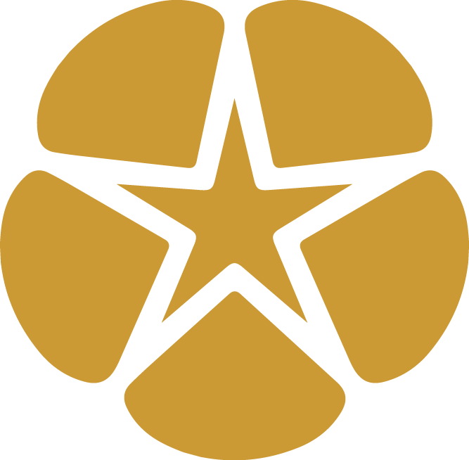 A graphic design featuring a gold star in the center with a black outline, surrounded by five rounded gold segments.