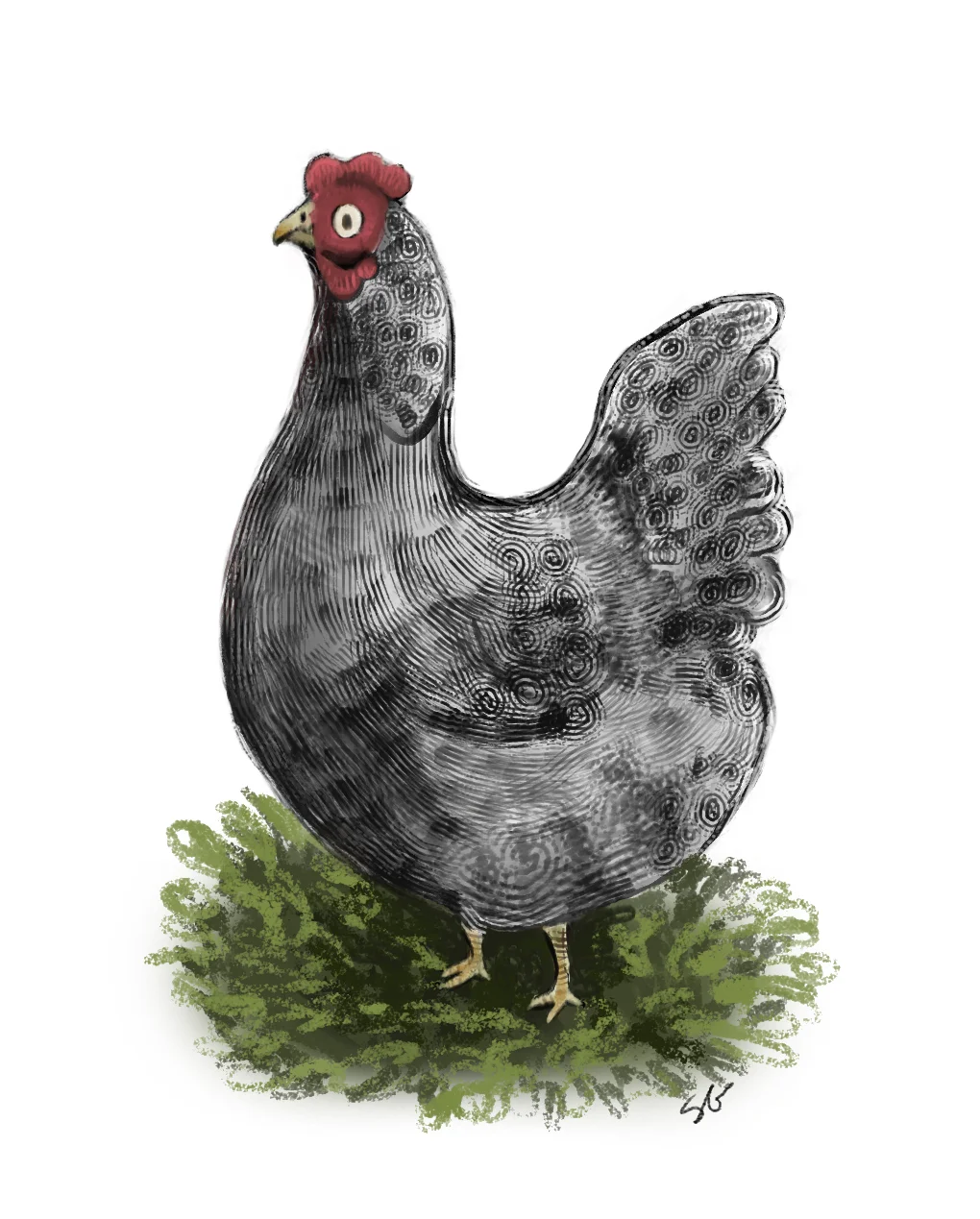 it's a chicken.jpg