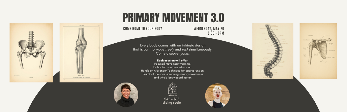 Primary Movement 3.0 Workshop