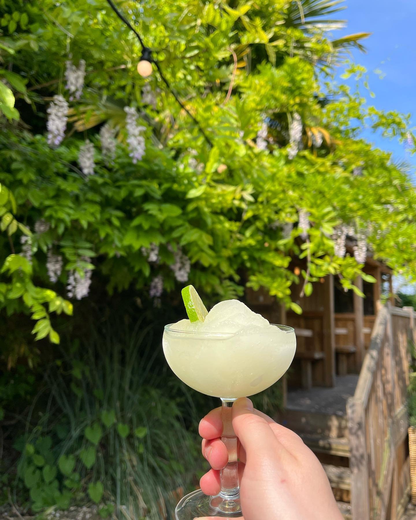 Frozen Margs are making a triumphant return!! The Watsons fan favourite will be available from tonight&hellip; what better way to start your weekend? 😜🍸 #cocktail #margarita #eastdulwich