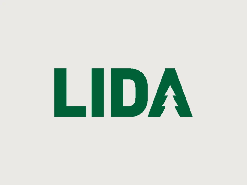LIDA.jpg