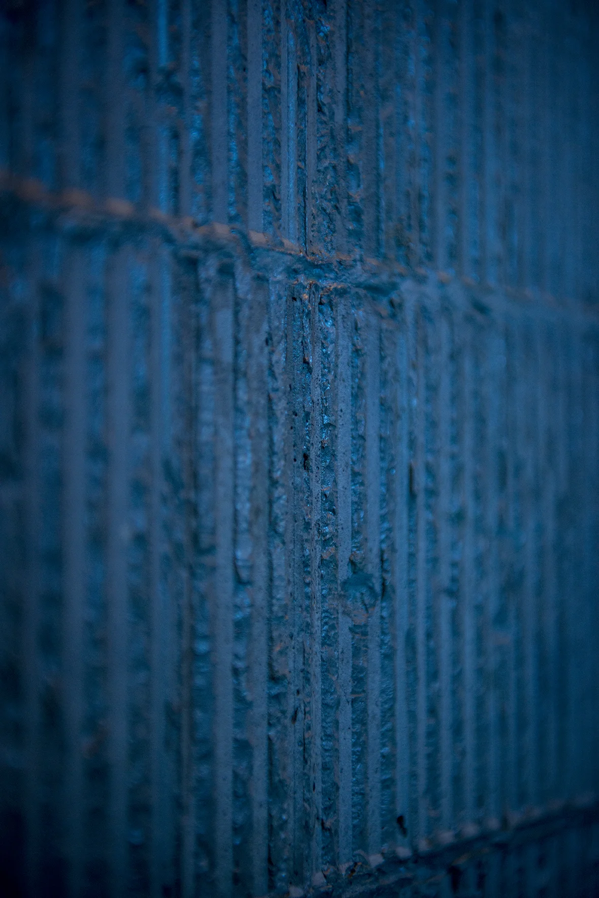 20150629_Mitte_0108.jpg
