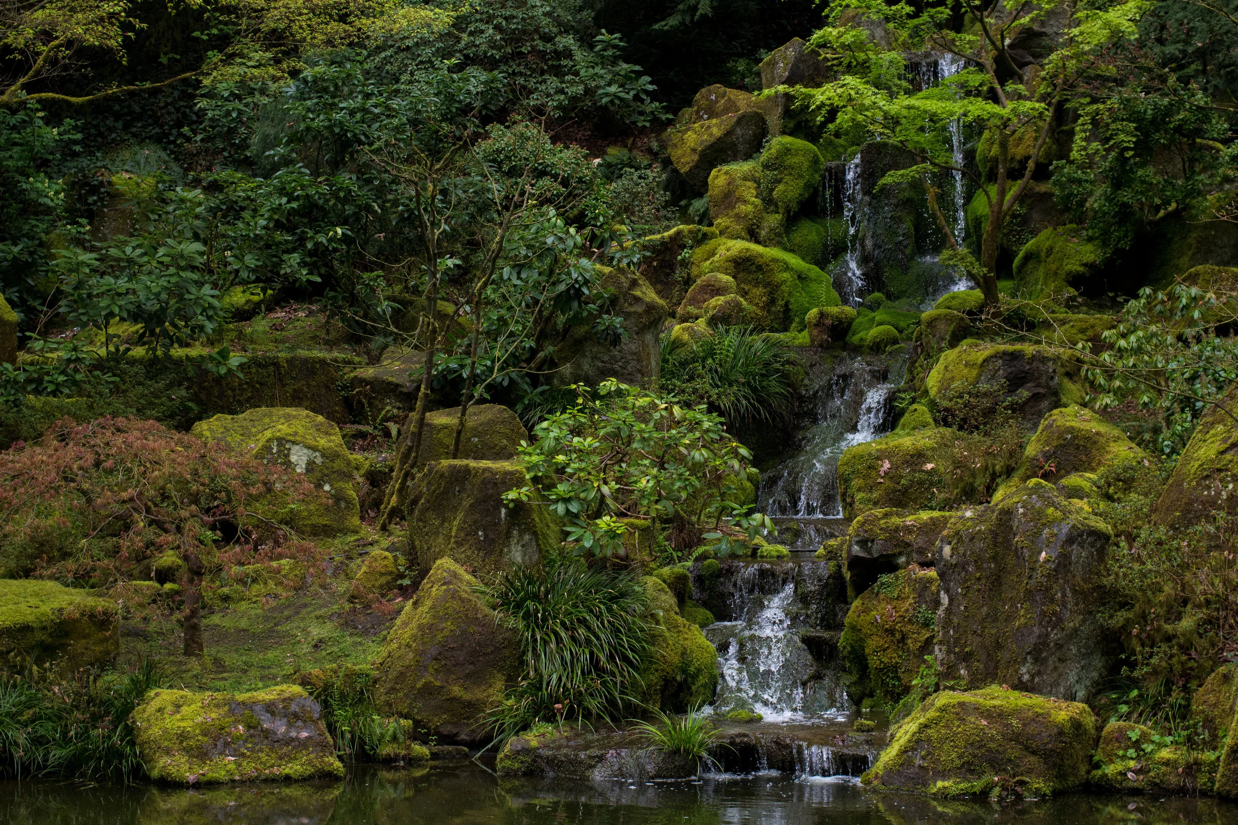 MLESamsara_portland_botanicalgarden_meditation
