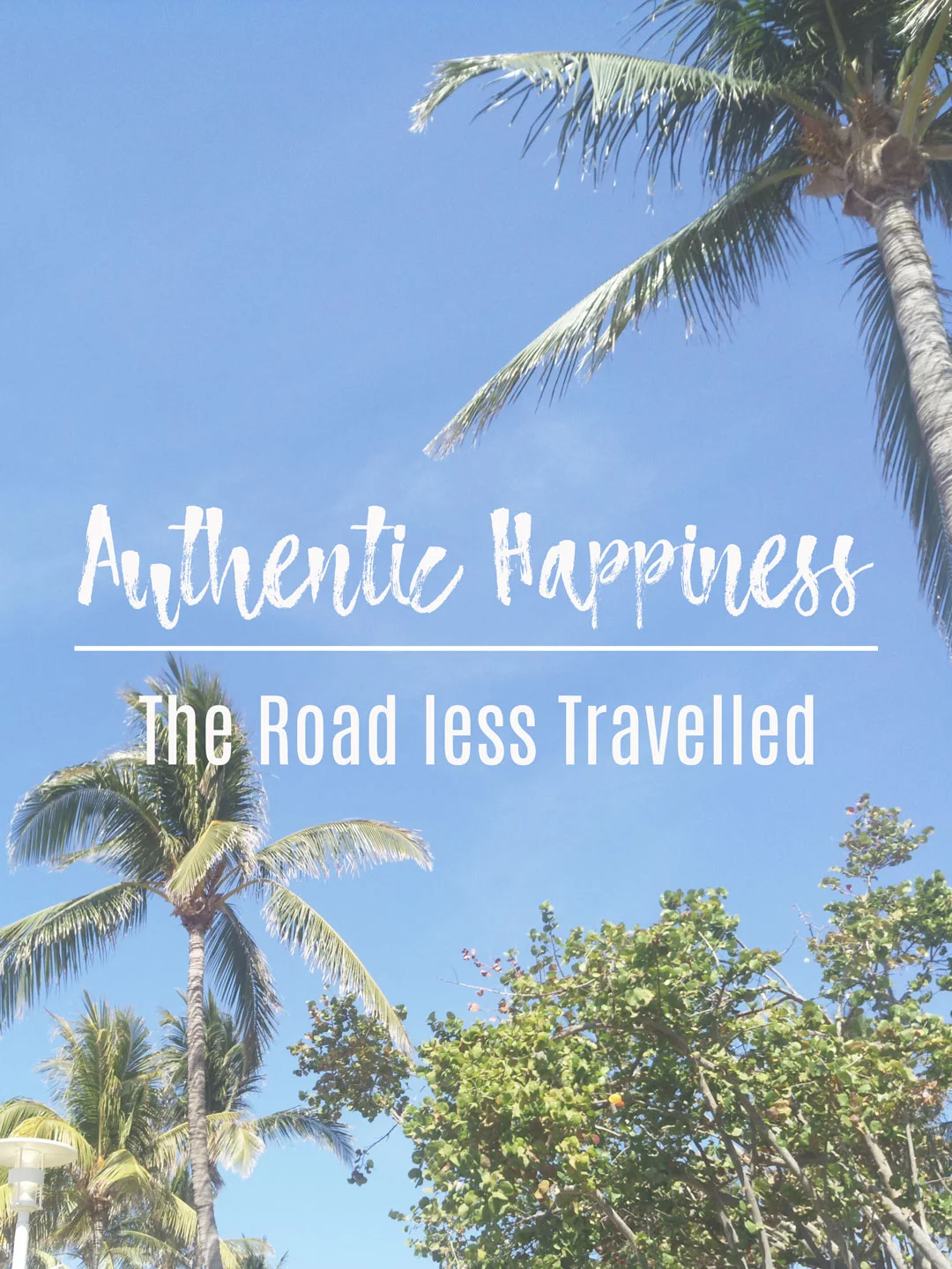 Authentic Happiness: the Road Less Travelled