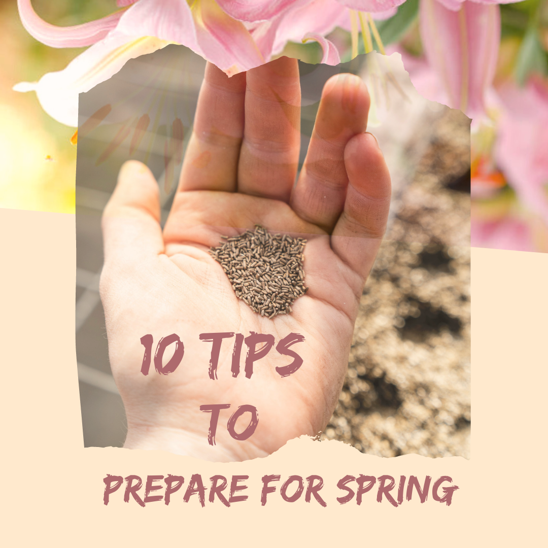 Top 10 Tips to Prepare for Spring
