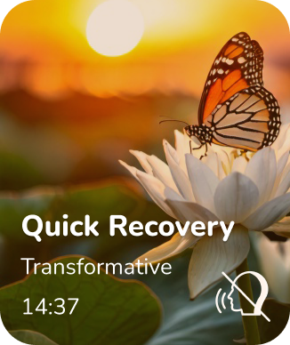 Quick Recovery EN.png