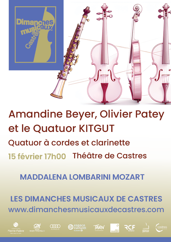 Les Dimanches Musicaux Castres Concert Poster