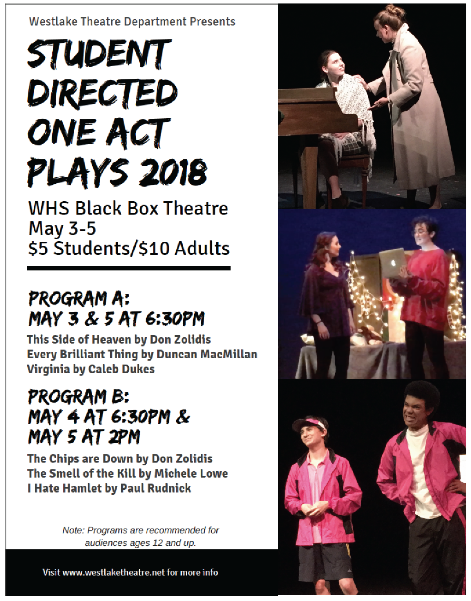 sdoap2018flyer.png