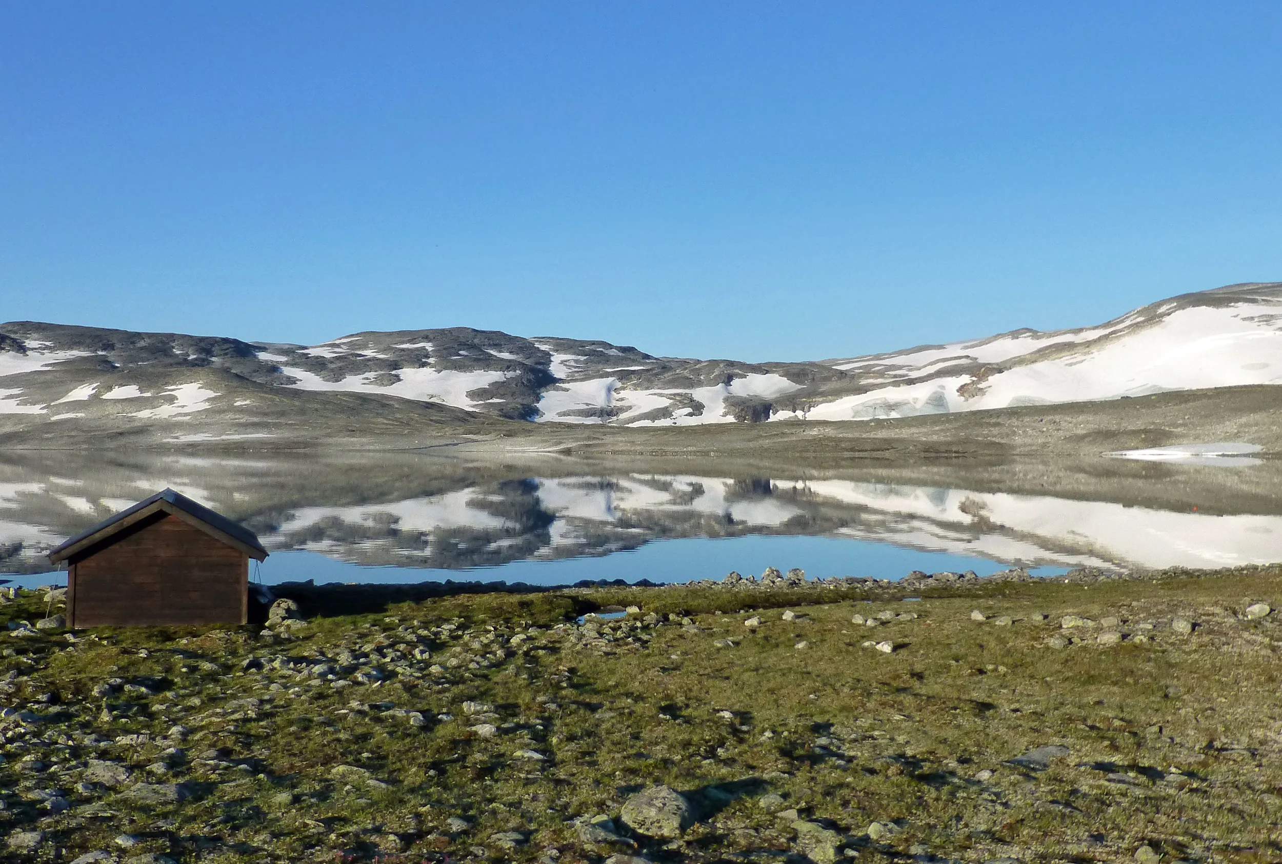 Velkommen til Lesja Fjellstyre