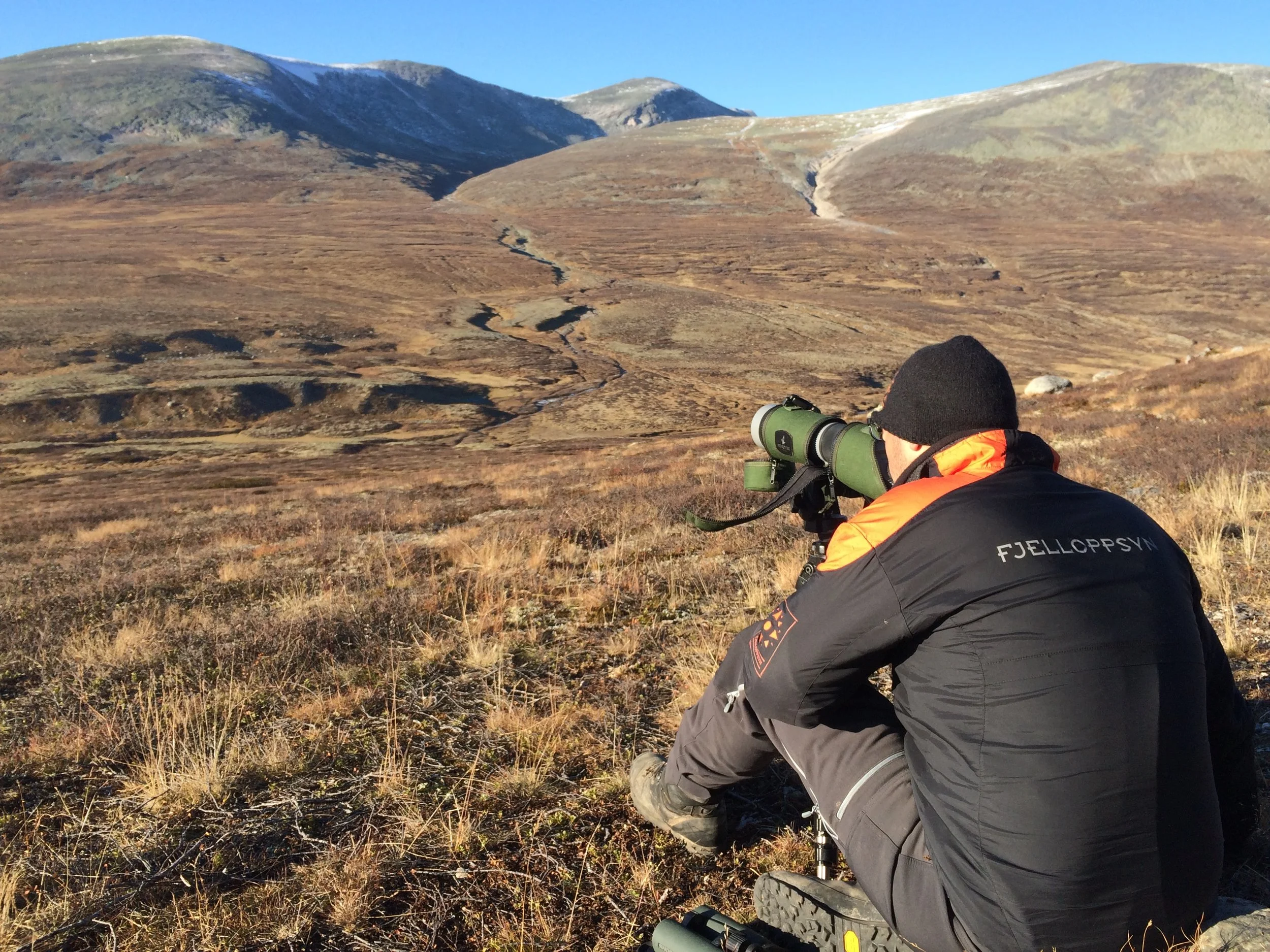 Velkommen til Lesja Fjellstyre