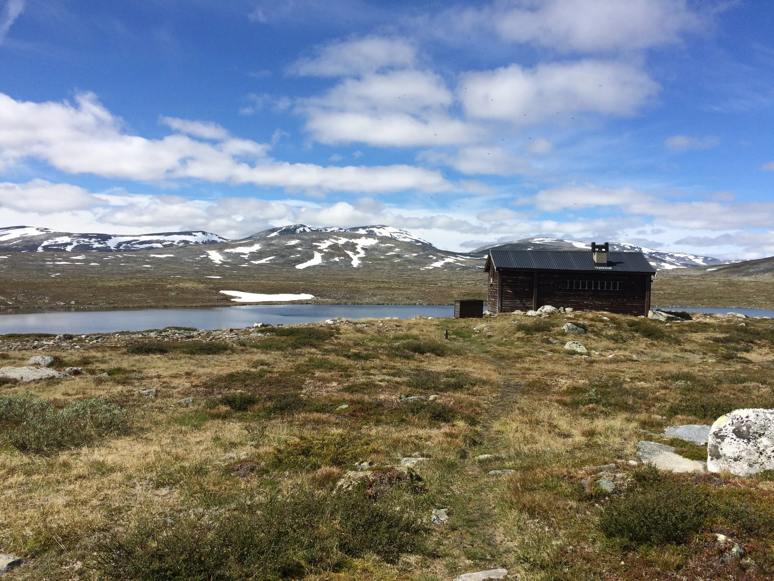 Vangstjønnbu