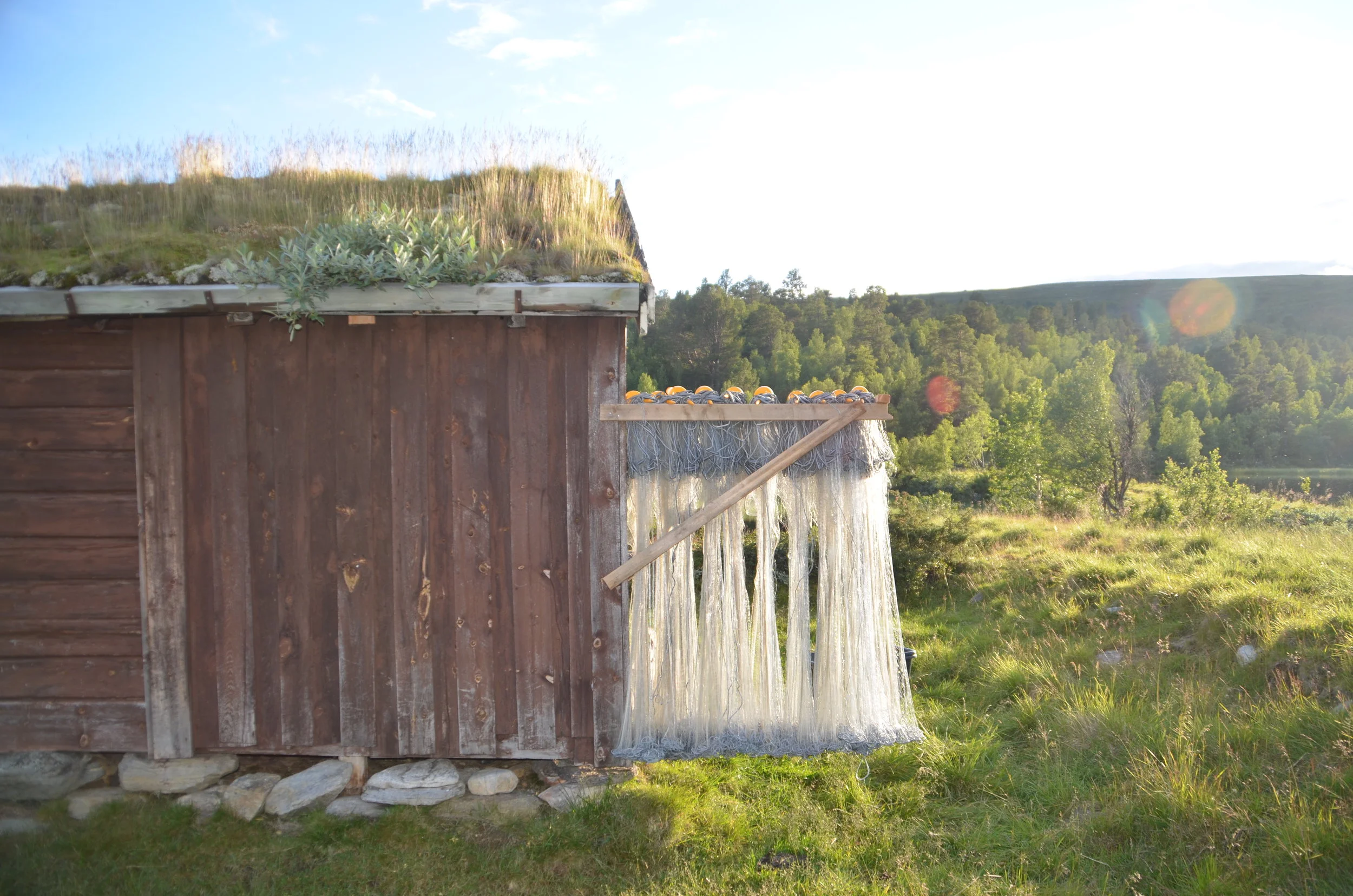 FISKE I LESJAFJELLA