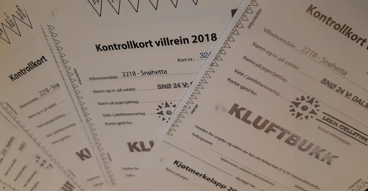 Jaktkort på villrein er klare for henting