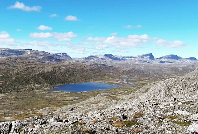 Lesj&oslash;en i Dalsida statsallmenning. Grensefjellene mellom Lesja og Sunndal ses i horisonten 🏔☀️ #Storskrymten (1985 moh) #Salh&oslash;e (1853 moh) #Gr&oslash;vudalstinden (1844 moh) #dalsida #dovrefjellsunndalsfjellanasjonalpark #inatur #whata