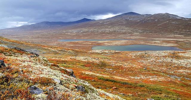 Fjellet har kledd seg i sine fineste h&oslash;stfarger 🍃🍂🍁 #lesjafjellstyre #h&oslash;st #merrabotn