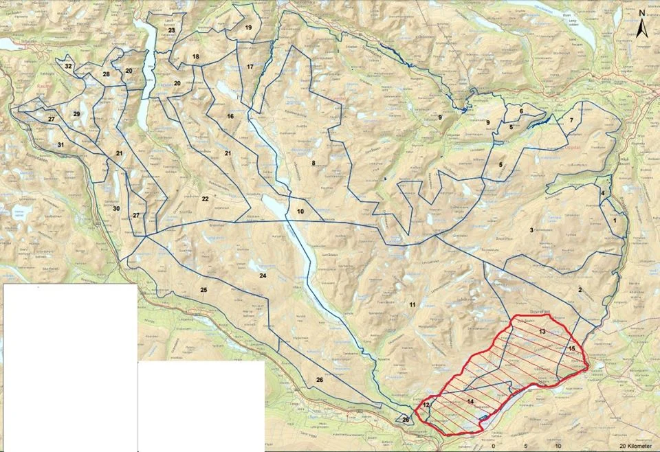 Utvida jakttid og fellesjakt på Snøhetta villreinområde